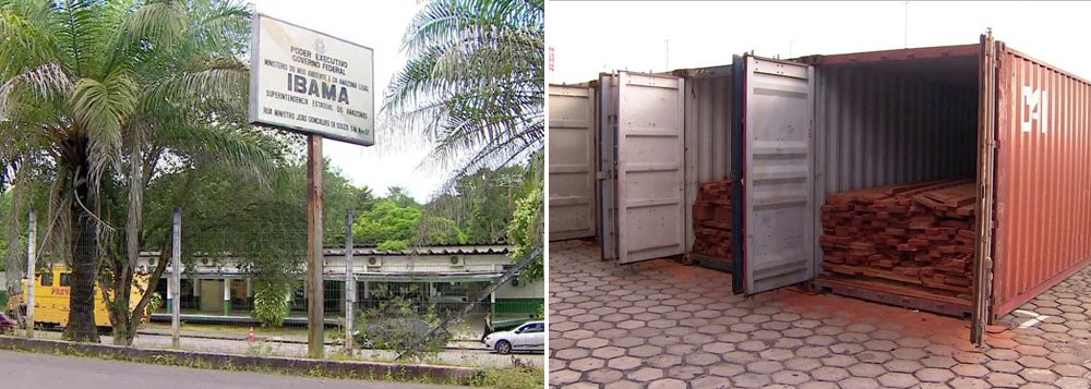 PF realiza operação contra comércio ilegal de madeira na Amazônia PF realiza operação contra comércio ilegal de madeira na Amazônia