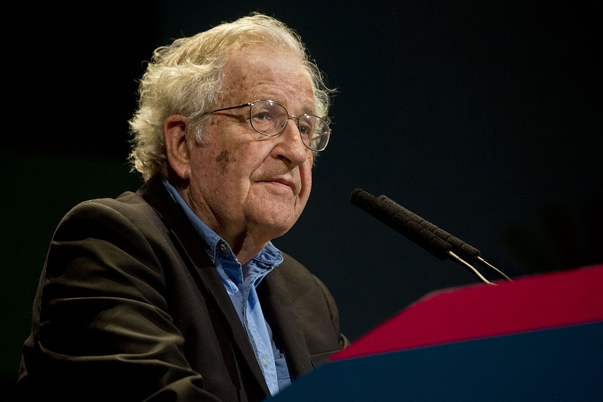 Chomsky: cresce o apoio aos palestinos na opinião pública dos EUA Chomsky: cresce o apoio aos palestinos na opinião pública dos EUA