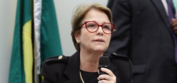 A manga e o combate à fome no deboche do governo A manga e o combate à fome no deboche do governo