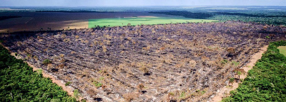 Sabotagem do trabalho do INPE na Amazônia exala cheiro de ilegalidade no MMA (Foto: Foto: Mayke Toscano/Gcom-MT) Sabotagem do trabalho do INPE na Amazônia exala cheiro de ilegalidade no MMA