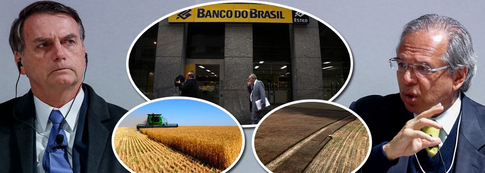Bolsonaro trai ruralistas e reduz crédito agrícola Bolsonaro trai ruralistas e reduz crédito agrícola