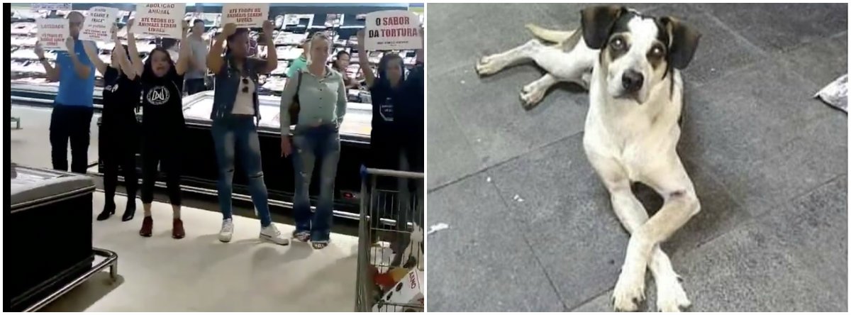 Carrefour pagará R$ 1 milhão por morte da cadela Manchinha (Foto: Reprodução vídeo/divulgação) Carrefour pagará R$ 1 milhão por morte da cadela Manchinha