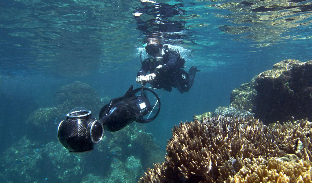 Google deve lançar versão aquática do Street View (Foto: Divulgação) Google deve lançar versão aquática do Street View