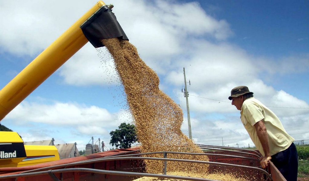 Frete de grãos deverá subir menos em 2012 (Foto: Divulgação) Frete de grãos deverá subir menos em 2012