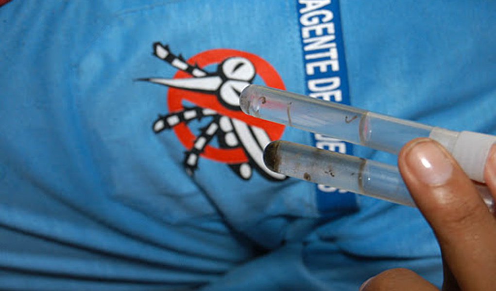 Governos reforça combate à dengue em 1.159 cidades (Foto: DIVULGAÇÃO) Governos reforça combate à dengue em 1.159 cidades
