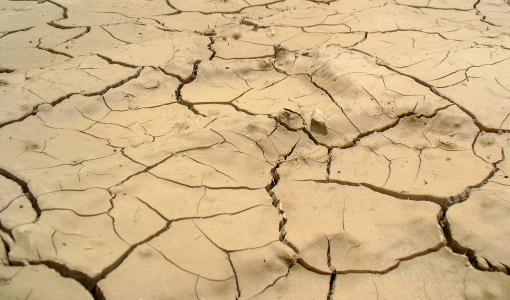 (Foto: Divulgação) www.brasil247.com -