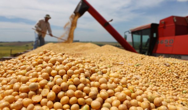A exportação do agronegócio pode ser afetada pelo acordo EUA-China (Foto: Divulgação) A exportação do agronegócio pode ser afetada pelo acordo EUA-China