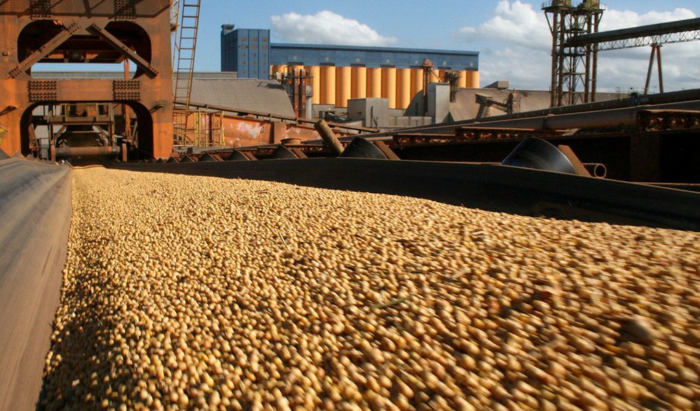 Conab: produção de grãos deve ser 2,8% menor que a da safra anterior (Foto: DIVULGAÇÃO) Conab: produção de grãos deve ser 2,8% menor que a da safra anterior