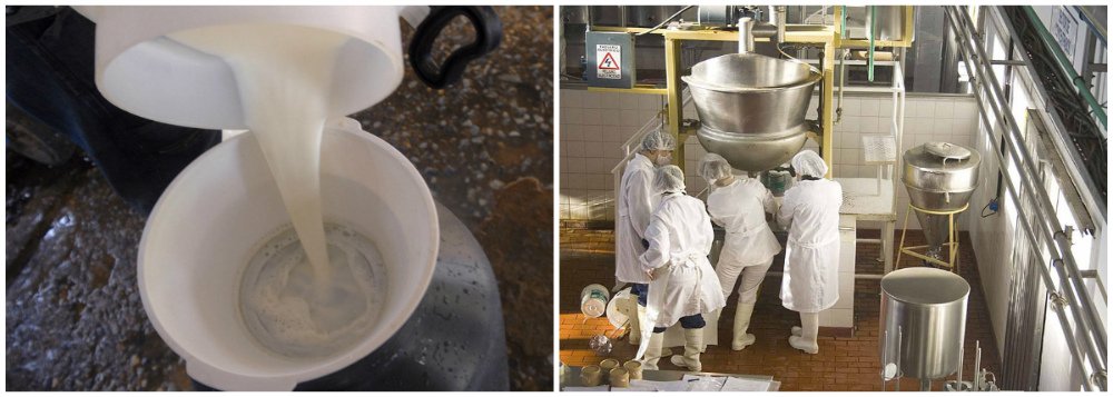 Operação busca quadrilha acusada de adulterar leite Operação busca quadrilha acusada de adulterar leite