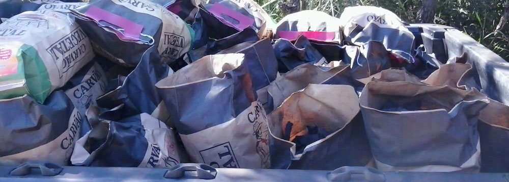 Carvoaria clandestina é desativada em Aparecida Carvoaria clandestina é desativada em Aparecida