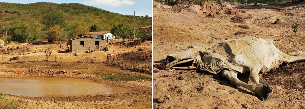 Seca ocasiona prejuízos superiores a R$ 6 bilhões Seca ocasiona prejuízos superiores a R$ 6 bilhões