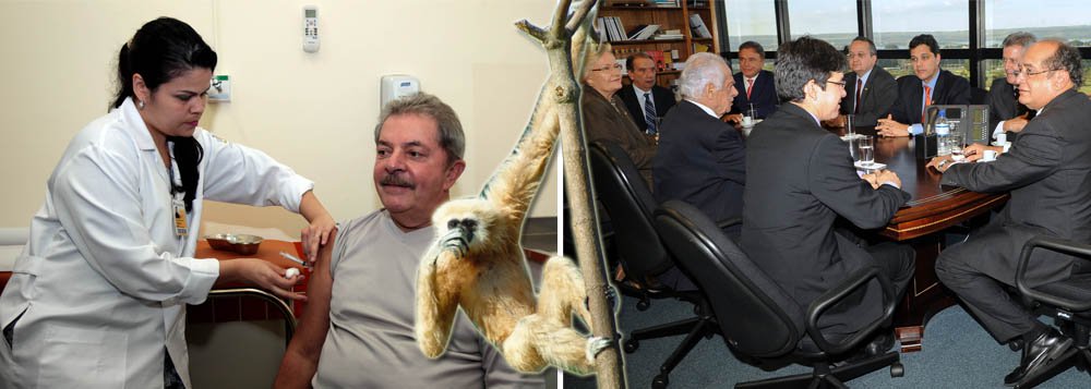Lula sobre a crise: “É cada macaco no seu galho” Lula sobre a crise: “É cada macaco no seu galho”
