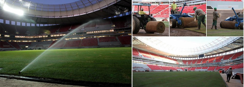 Finalizado o plantio do gramado em Brasília Finalizado o plantio do gramado em Brasília