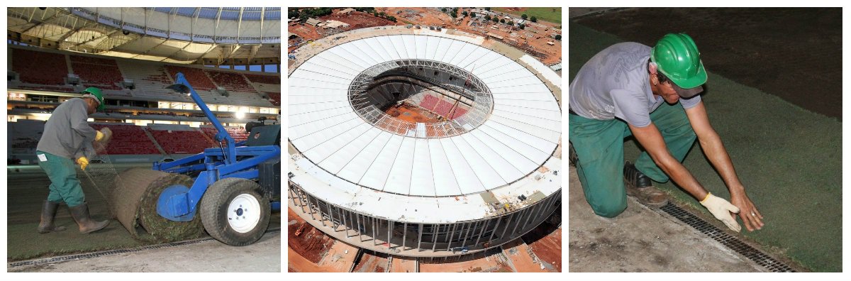 Até quarta o Mané deve estar todo gramado Até quarta o Mané deve estar todo gramado