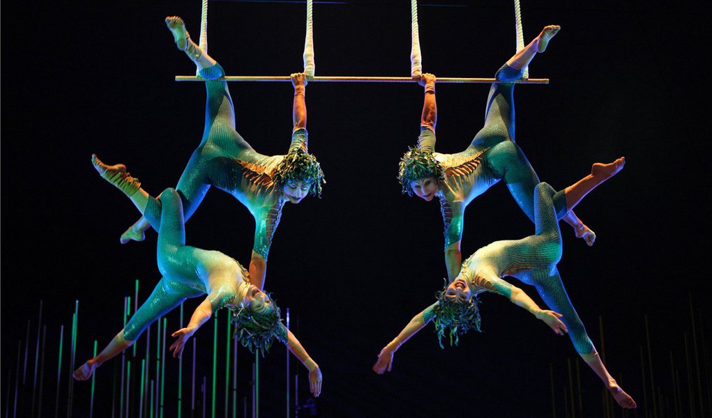 A abelha operária brasileira por trás do Cirque du Soleil (Foto: Divulgação) A abelha operária brasileira por trás do Cirque du Soleil