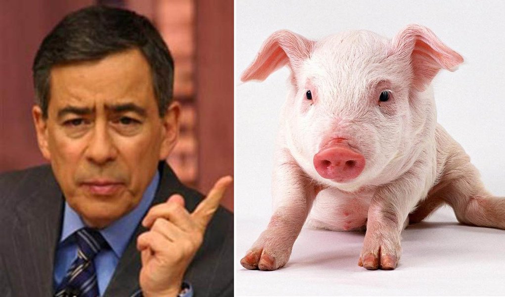 PH processa o que chama de PIG e inclui 247 (Foto: Divulgação) PH processa o que chama de PIG e inclui 247