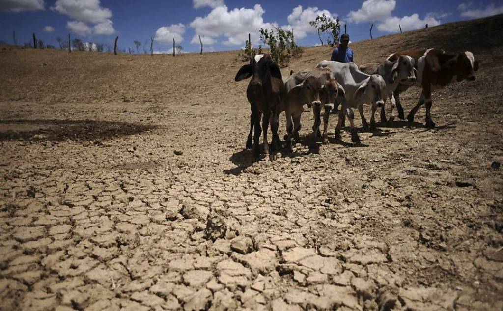 Seca: "Sergipe poderia declarar emergência em todos os 75 municípios" Seca: "Sergipe poderia declarar emergência em todos os 75 municípios"