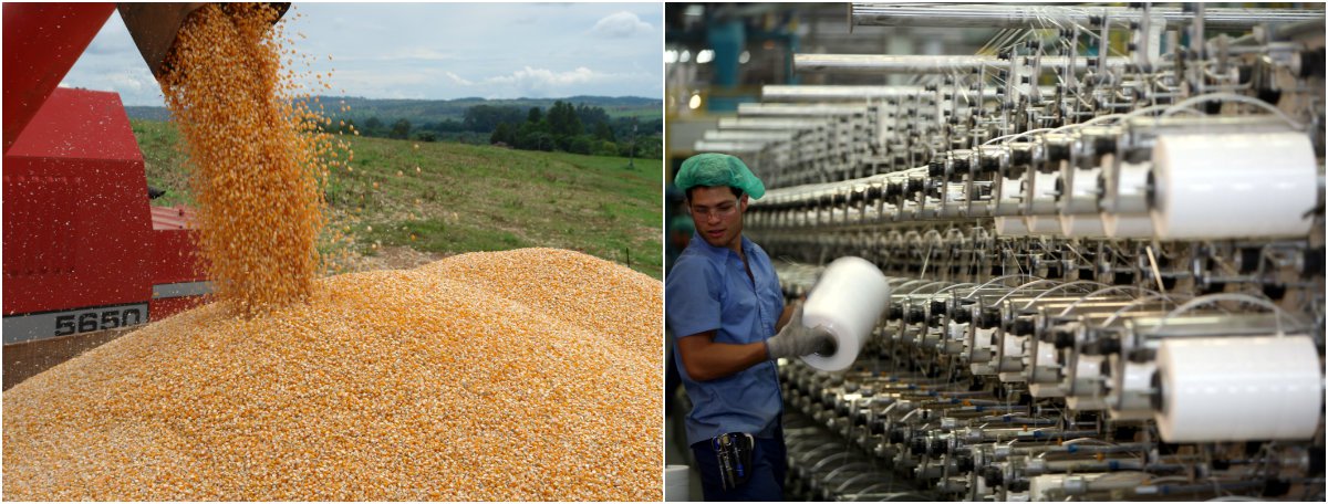 BC: Agropecuária e indústria vão contribuir para expansão BC: Agropecuária e indústria vão contribuir para expansão