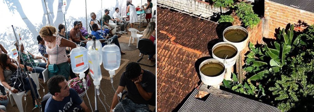 Salvador corre risco de epidemia de dengue Salvador corre risco de epidemia de dengue