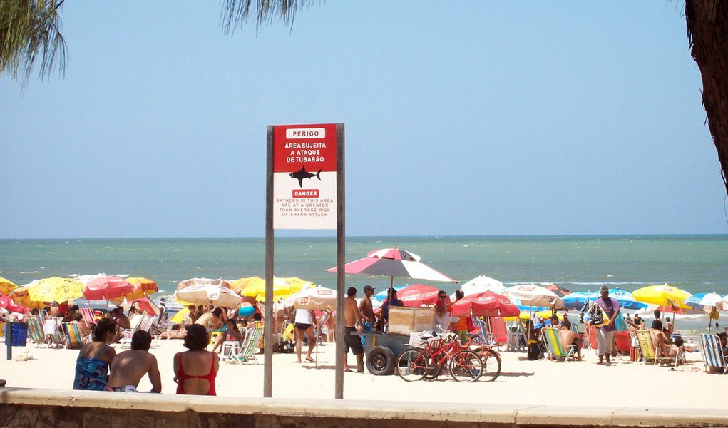 Tubarão ataca e faz mais uma vítima no Recife Tubarão ataca e faz mais uma vítima no Recife