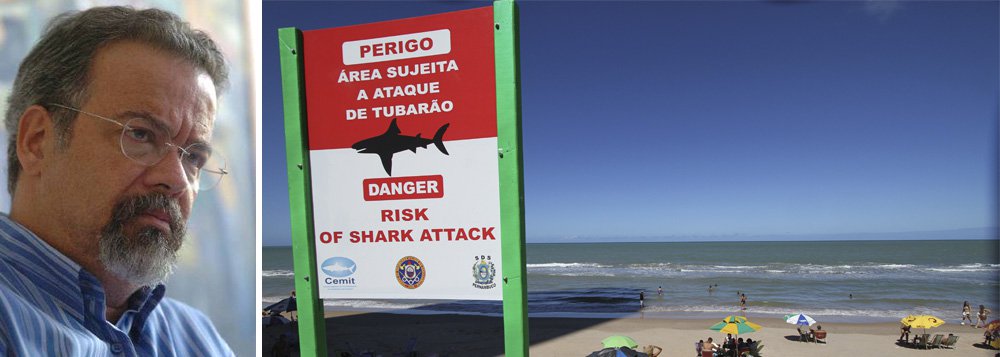 Vereador aciona Suape por ataque de tubarão Vereador aciona Suape por ataque de tubarão