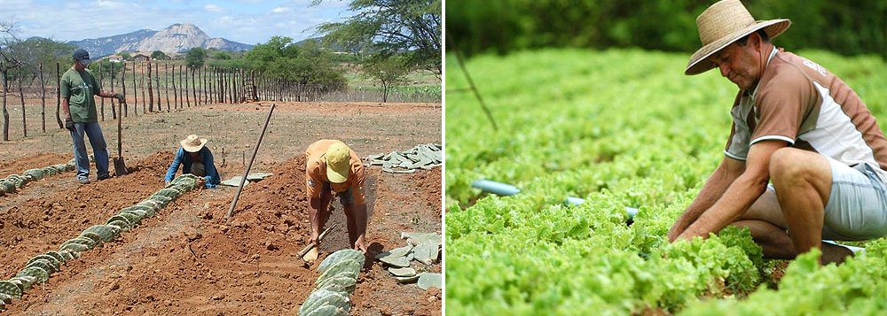 Produtores do Nordeste terão juros mais baixos Produtores do Nordeste terão juros mais baixos