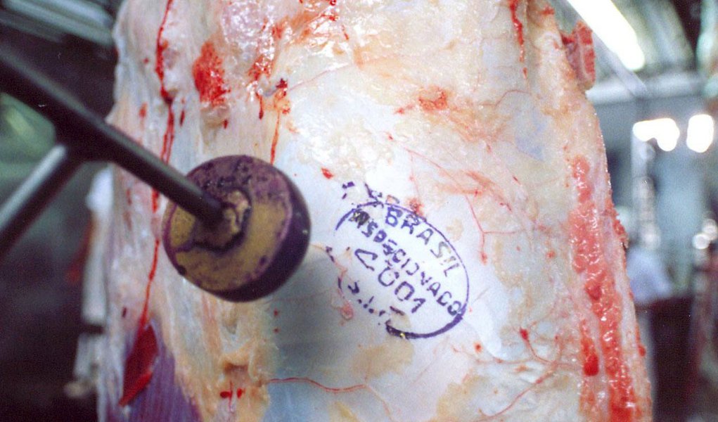Exportação de carne subiu 11,65% em 2011 (Foto: DIVULGAÇÃO) Exportação de carne subiu 11,65% em 2011