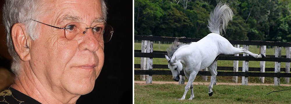 Sem coices, Nelson Motta faz boa análise política Sem coices, Nelson Motta faz boa análise política