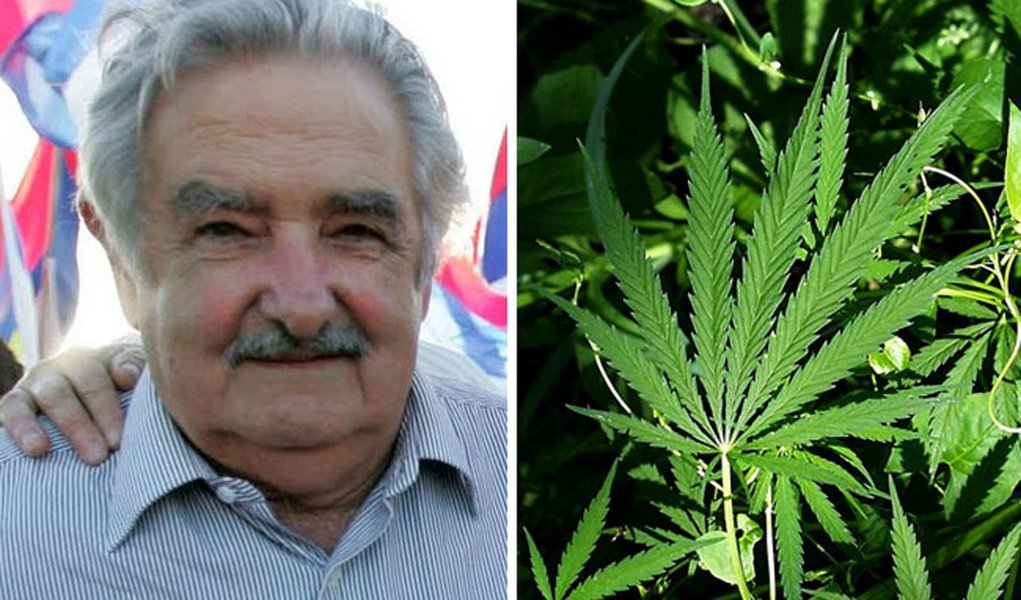 Agora é oficial: Uruguai vai estatizar a maconha (Foto: Divulgação) Agora é oficial: Uruguai vai estatizar a maconha