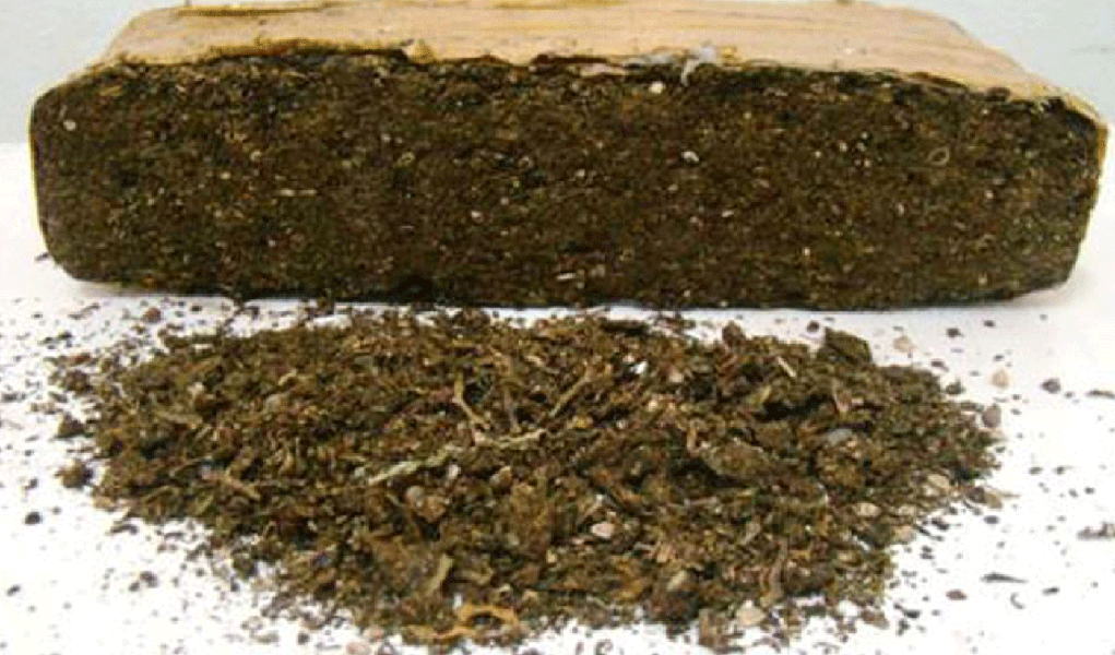 Santo Amaro: polícia apreende um quilo de maconha (Foto: Divulgação) Santo Amaro: polícia apreende um quilo de maconha