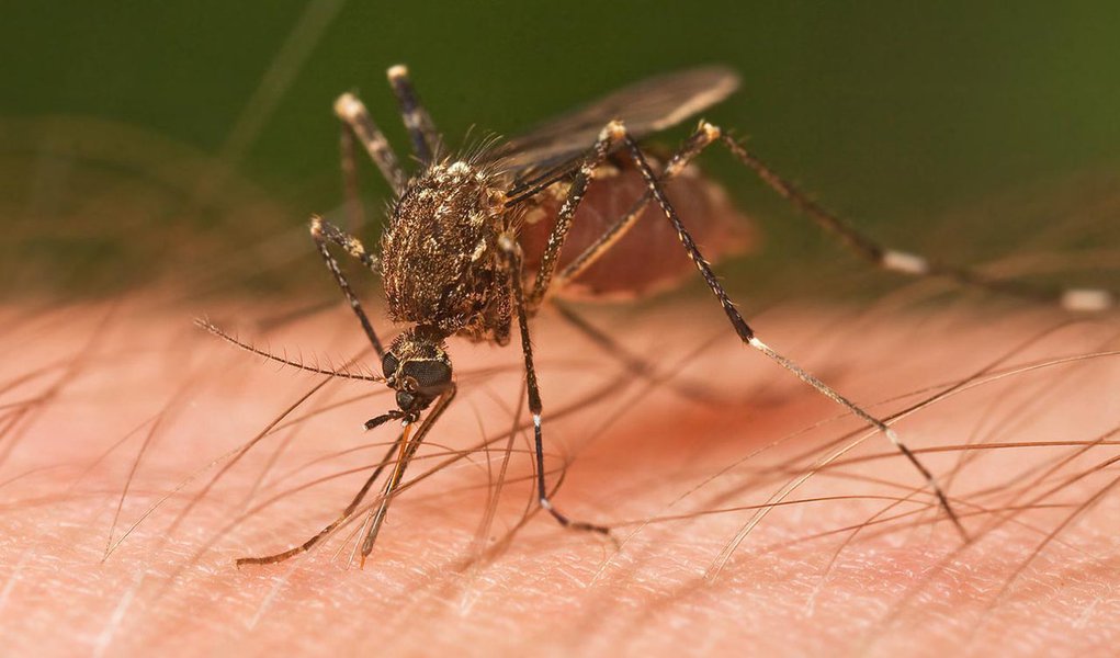 Estado recebe R$ 8,5 mi para combate à dengue Estado recebe R$ 8,5 mi para combate à dengue