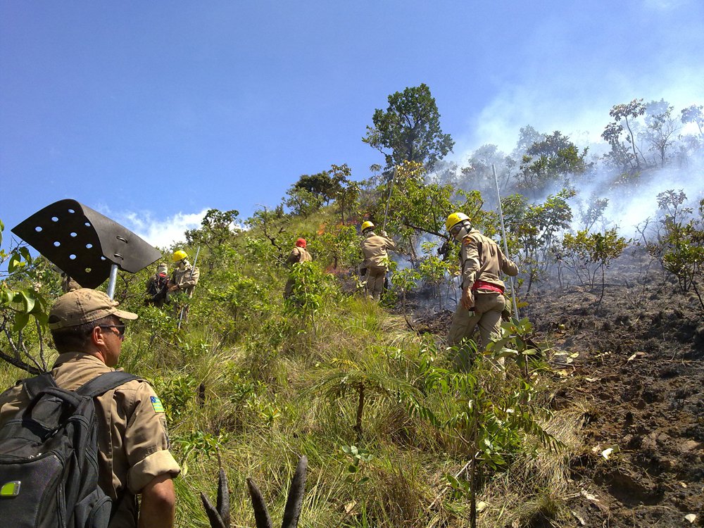 Bombeiros debelam incêndio na Serra de Caldas (Foto: Divulgação/Corpo de Bombeiros) Bombeiros debelam incêndio na Serra de Caldas