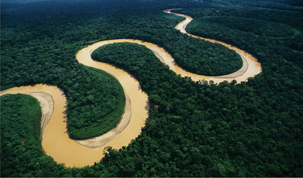 Amazonas só tem uma delegacia especializada em ambiente (Foto: Divulgação) Amazonas só tem uma delegacia especializada em ambiente