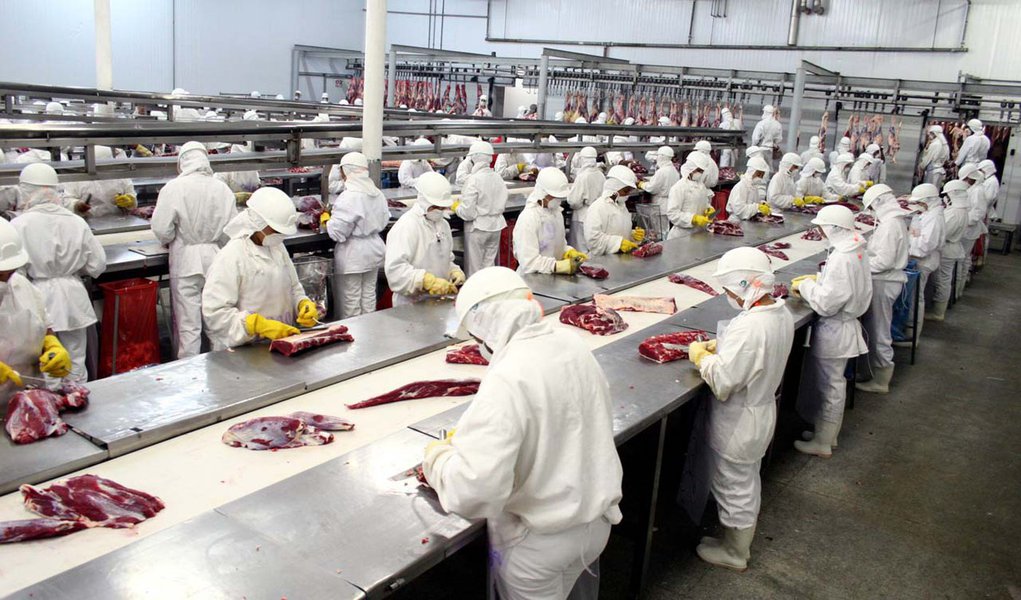 Setor de carne suína prevê baixa para o início de 2013 (Foto: Divulgação) Setor de carne suína prevê baixa para o início de 2013