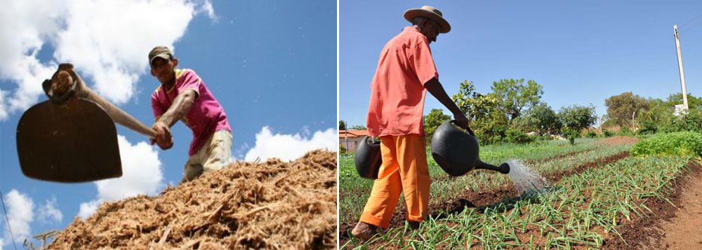 Produtores do NE negociam R$ 1,8 bi em dívidas Produtores do NE negociam R$ 1,8 bi em dívidas