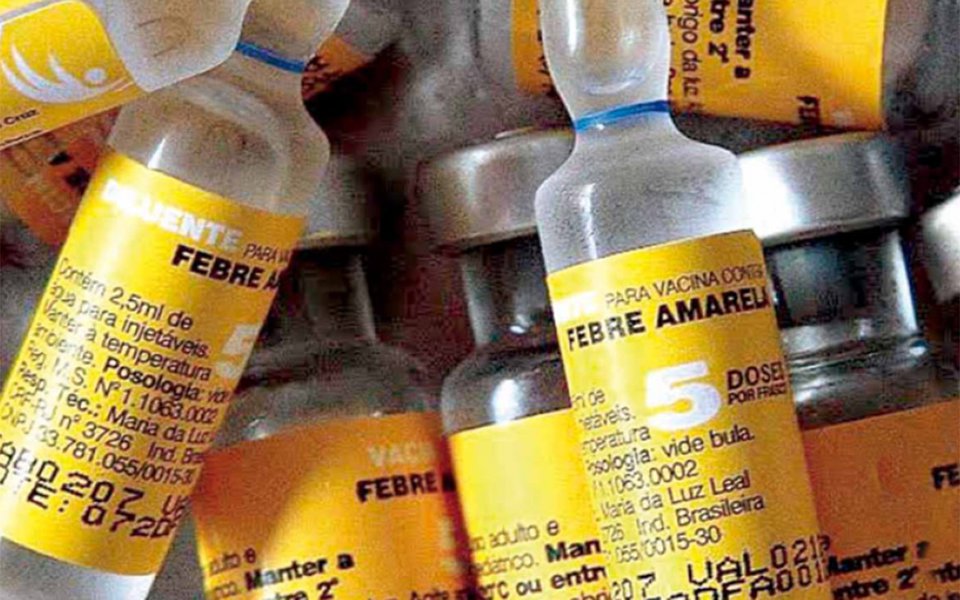 Febre amarela. Campanha esclarece sobre vacinação Febre amarela. Campanha esclarece sobre vacinação