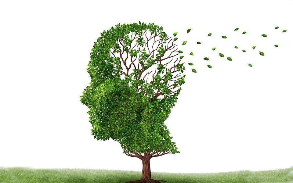 Alzheimer, o inimigo da memória. É a primeira coisa que esse mal ataca Alzheimer, o inimigo da memória. É a primeira coisa que esse mal ataca
