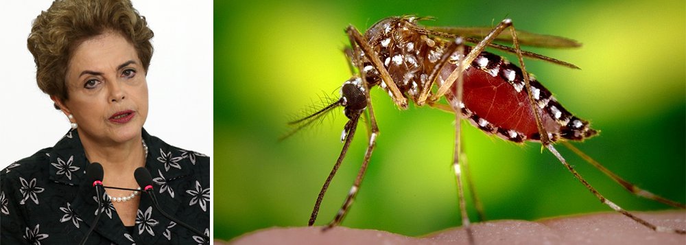 Dilma procura líderes religiosos na luta contra dengue Dilma procura líderes religiosos na luta contra dengue