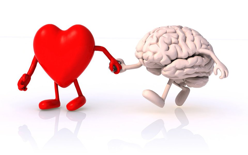 Exercite os seus neurônios. É a melhor forma de proteger o cérebro Exercite os seus neurônios. É a melhor forma de proteger o cérebro