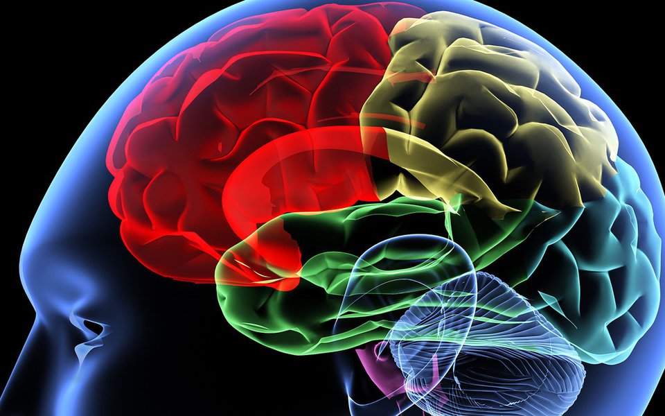 Declínio cognitivo. Mudar o estilo de vida para proteger o cérebro Declínio cognitivo. Mudar o estilo de vida para proteger o cérebro