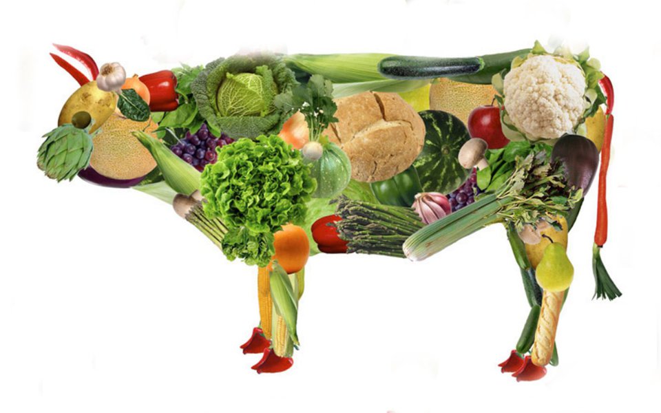 Dieta vegana. Governos mexem na dieta para reduzir consumo de carne Dieta vegana. Governos mexem na dieta para reduzir consumo de carne