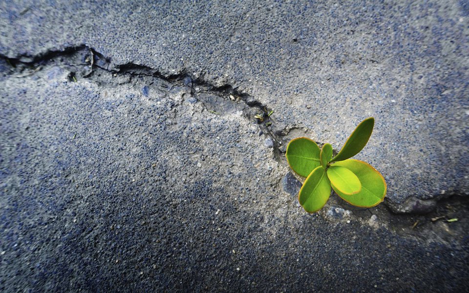 Resiliência. Saber como encarar as mudanças da vida Resiliência. Saber como encarar as mudanças da vida