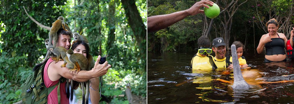 Amazônia Legal como destino turístico consolidado Amazônia Legal como destino turístico consolidado
