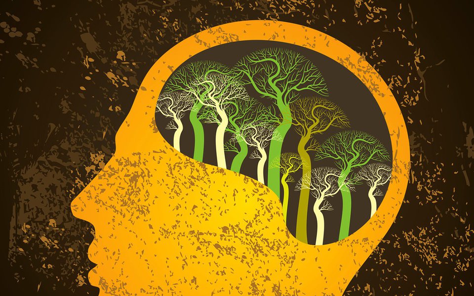 Os neurônios podem se regenerar. Se o cérebro for mantido ativo e o corpo saudável (Foto: uttam) Os neurônios podem se regenerar. Se o cérebro for mantido ativo e o corpo saudável