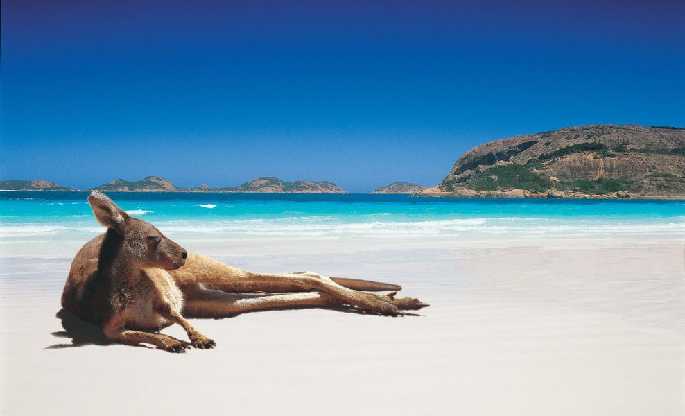 Tourism Australia reforça presença na América do Sul Tourism Australia reforça presença na América do Sul