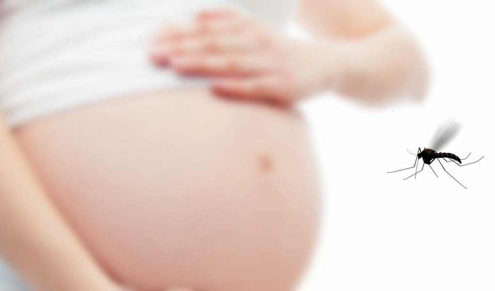 EUA orientam infectadas pelo Zika a esperar ao menos 8 semanas para engravidar EUA orientam infectadas pelo Zika a esperar ao menos 8 semanas para engravidar