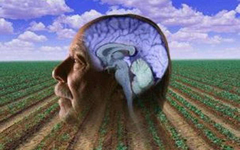 Mal de Parkinson. Pesticida é importante fator de risco Mal de Parkinson. Pesticida é importante fator de risco