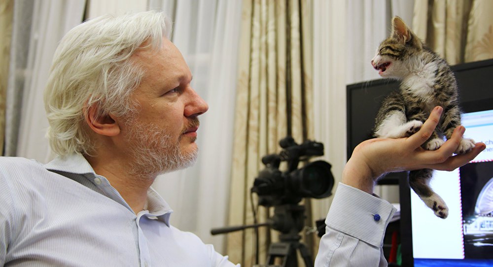 Equador confirma ter concedido cidadania a Assange Equador confirma ter concedido cidadania a Assange