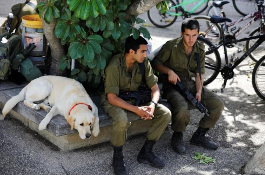 Israel diz que Hamas tentou hackear celulares de soldados com aplicativo da Copa do Mundo Israel diz que Hamas tentou hackear celulares de soldados com aplicativo da Copa do Mundo