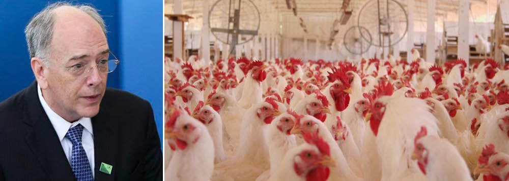 Caos de Parente pode matar 1 bilhão de aves e destruir indústria de alimentos Caos de Parente pode matar 1 bilhão de aves e destruir indústria de alimentos